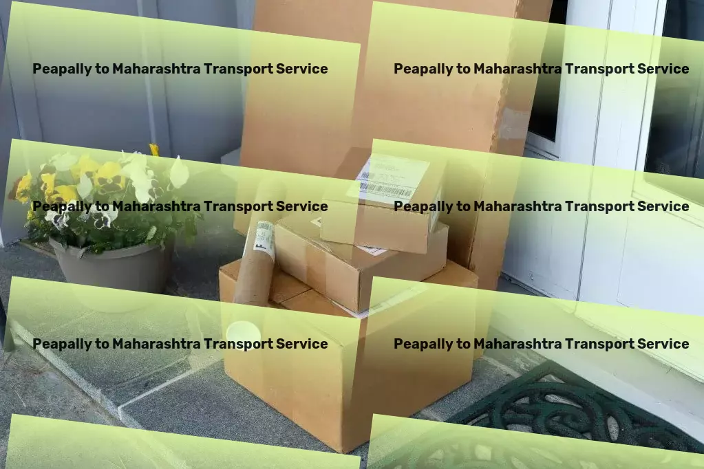 Peapally to Maharashtra Transport Navigating the complexities of the digital universe for you! - Efficient parcel freight