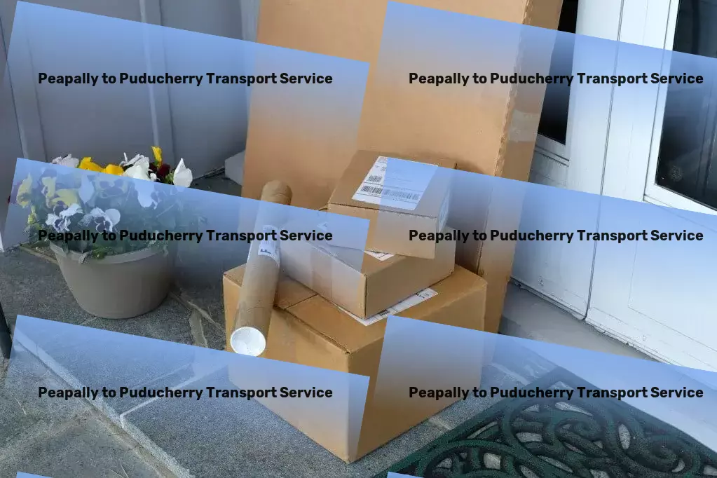 Peapally to Puducherry Transport Specialized freight logistics