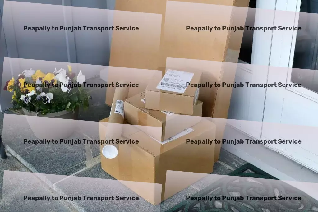 Peapally to Punjab Transport Redefining transportation in India with cutting-edge services! - Smart logistics solutions