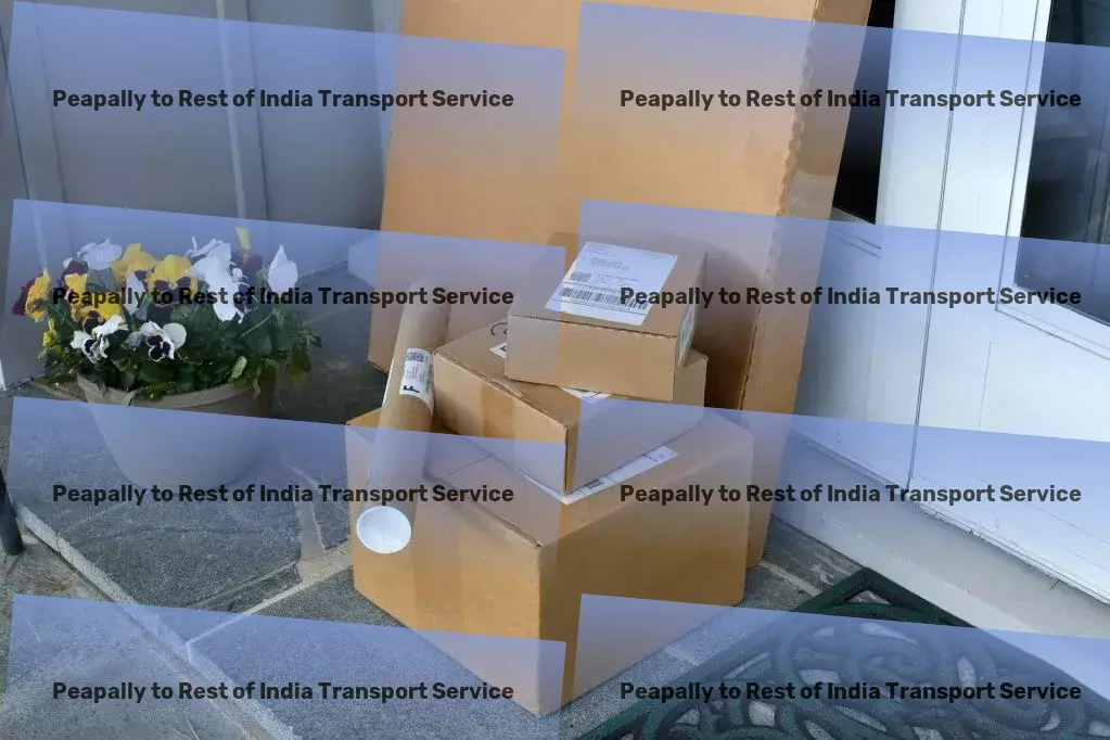 Peapally to Rest Of India Transport Customized goods logistics